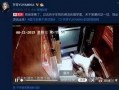 谁爆料家暴视频最新版下载,揭秘暴力真相，关注受害者心声