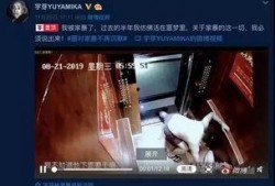 谁爆料家暴视频最新版下载,揭秘暴力真相，关注受害者心声